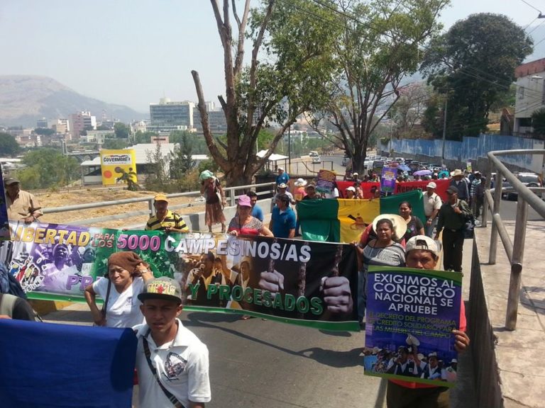 Honduras: Despenalización de la lucha exigen campesinos en movilización